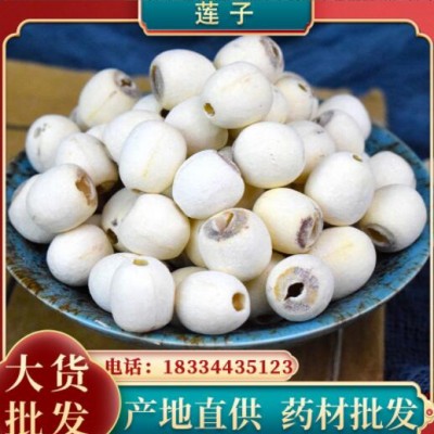 蓮子 食用農(nóng)產(chǎn)品蓮子去芯干貨散裝特產(chǎn)蓮子干貨 批發(fā)量大從優(yōu)代發(fā)