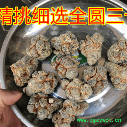 云南文山春三七高檔獅子頭圓形直播田七足干戴帽七帶剪口球形批發