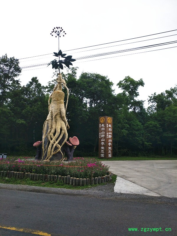 野山參景_副本.jpg