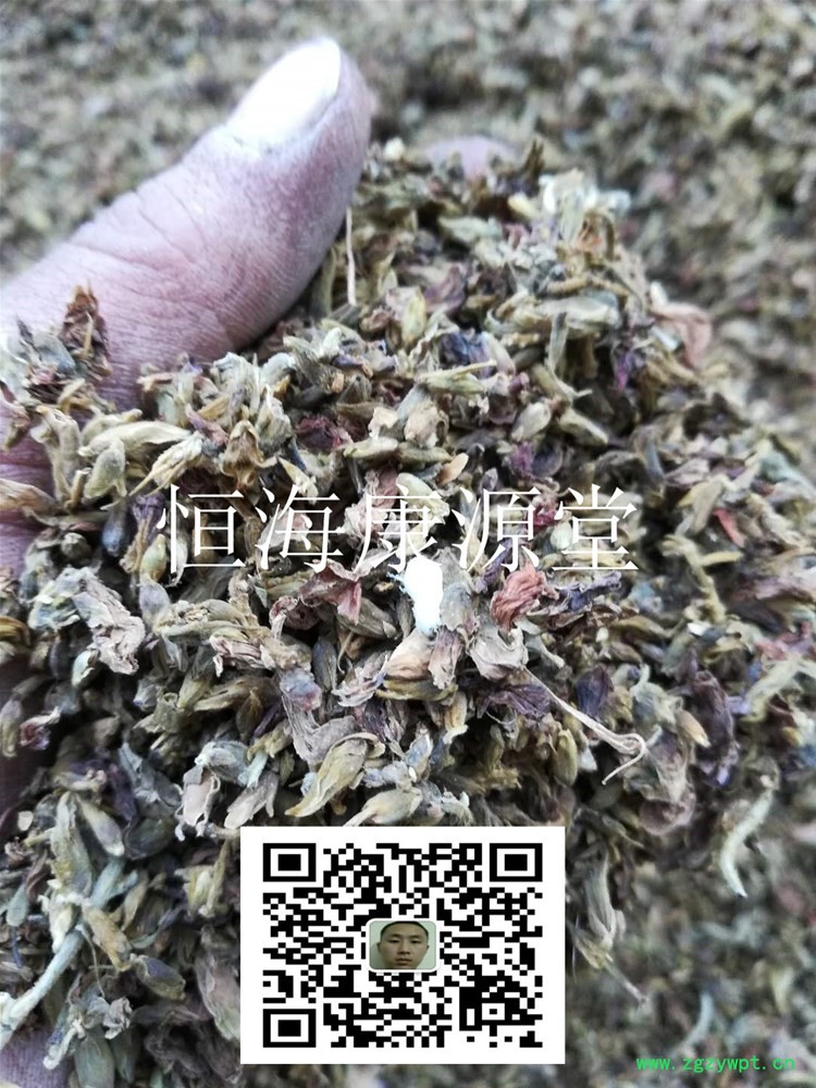 芫花 悶頭花 優質 正品1_副本.jpg