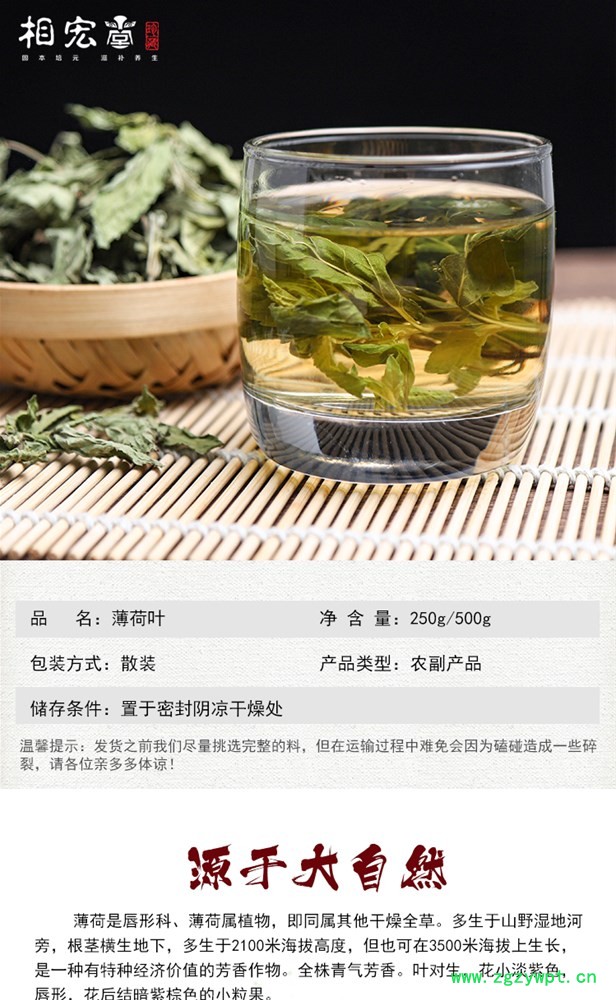 薄荷葉2.jpg