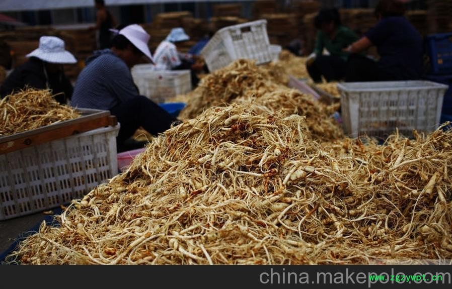 淮安新鮮野山參批發(fā)_淮安野山參價(jià)錢(qián) 長(zhǎng)壽不老參