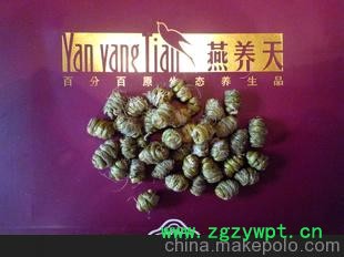 原生態鐵皮石斛一等品