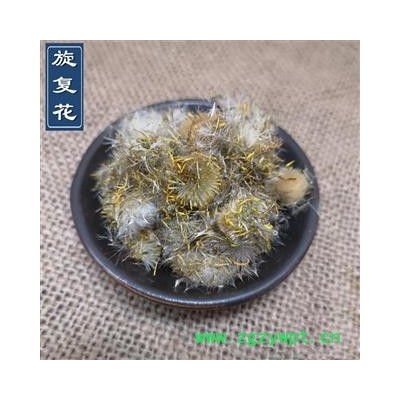 旋復(fù)花 旋覆花 金錢菊 滴滴金