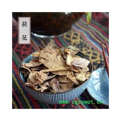 荷葉荷花 滋補養生 蓮花 水芙蓉 花草茶 散裝