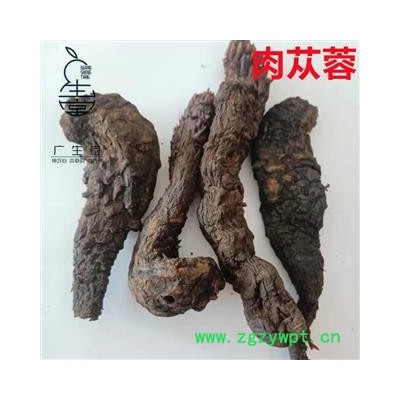 中藥材批發(fā) 大云 肉蓯蓉 軟大個 產(chǎn)地直銷各種中藥材