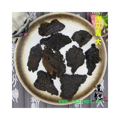 肉蓯蓉 選片 產地 內蒙古自治區 精品中藥材 品種齊全