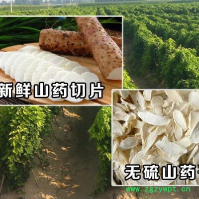 南洋 山藥烘干機 網帶烘干機 山藥烘干設備 山藥烘干機廠家  食品烘干機 中藥材烘干機 懷山藥烘干機 山藥干燥機