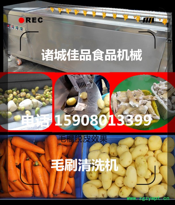 中藥材清洗機 瓜蔞清洗機 根莖藥根快速清洗機 佳品機械行業**