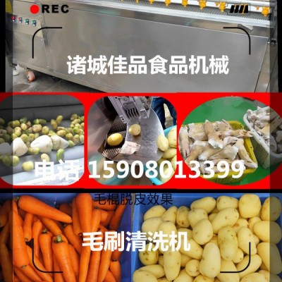 中藥材清洗機 瓜蔞清洗機 根莖藥根快速清洗機 佳品機械行業**