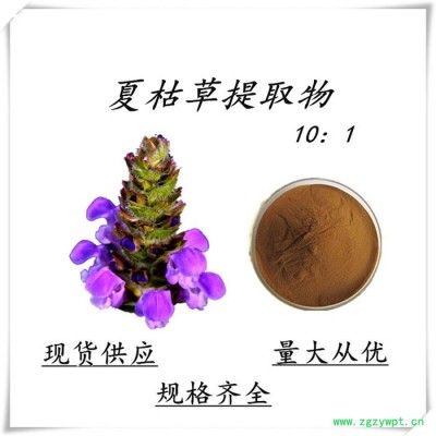 沃特萊斯生物  夏枯草提取物 10:1夏枯草粉   現貨供應  量大從優   中藥材提取物