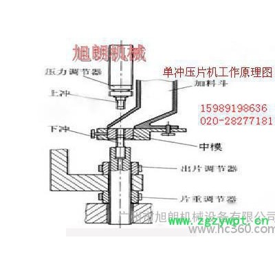 快速壓片機、新款中藥多沖壓片機