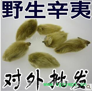 **辛夷花茶 中藥材普通辛夷，玉蘭花 大量 中國辛夷之鄉