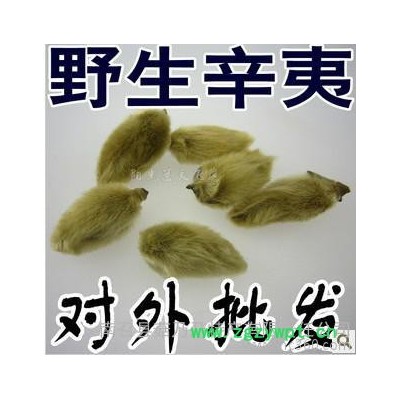 **辛夷花茶 中藥材普通辛夷，玉蘭花 大量 中國(guó)辛夷之鄉(xiāng)