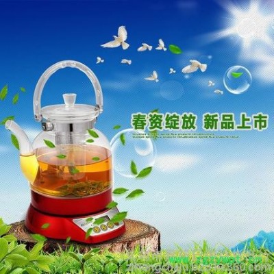 玻璃養(yǎng)生壺電藥壺煎藥壺中藥壺中藥煲電玻璃煮茶壺