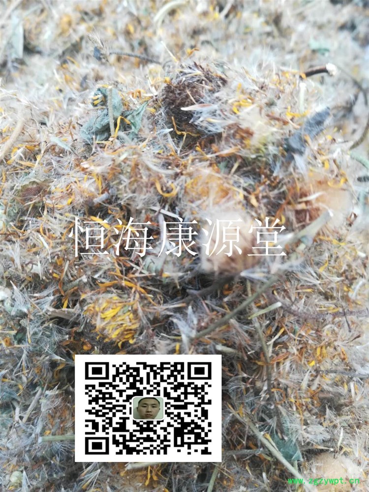 【品 名】 旋復花3_副本.jpg