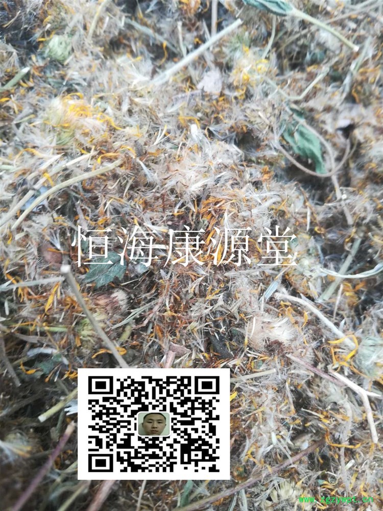 【品 名】 旋復花1_副本.jpg