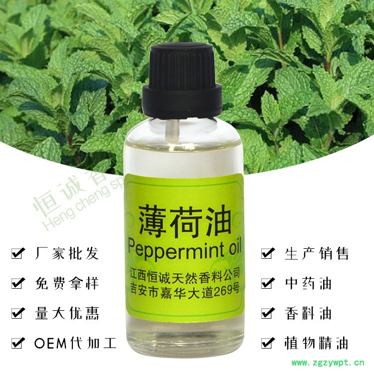 長期供應(yīng)符合藥典標準含薄荷腦28-40%以上的薄荷素油