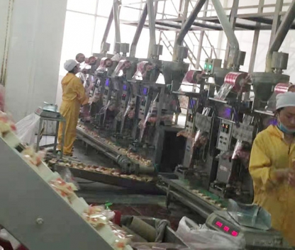 豆奶粉袋中袋生產線 Soy milk powder bag-in-bag production line